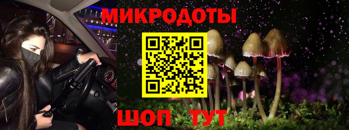 Каспийск  Псилоцибиновые грибы Cubensis  Псилоцибиновые грибы Magic Shrooms  Вход с VPN 